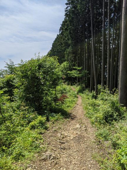 クロモ岩～麻生山の道
