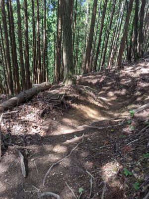 クロモ岩～麻生山の道