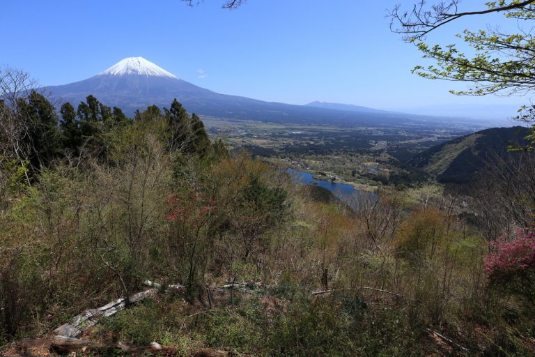 休暇村分岐からの富士山