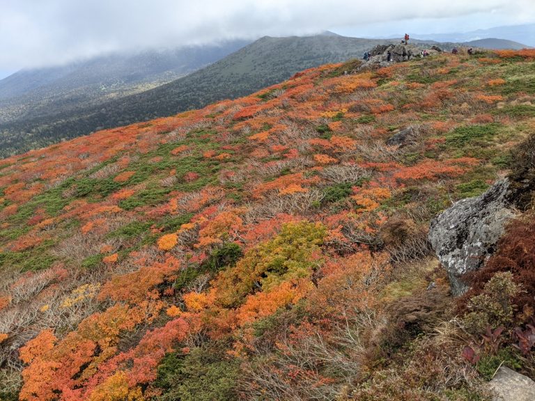 三ツ石山山頂から見える紅葉