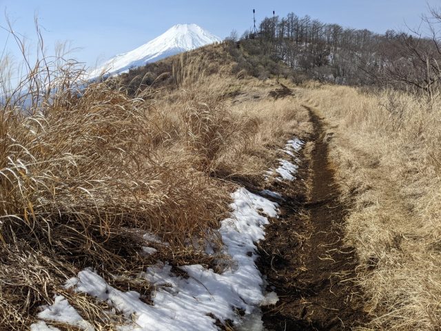 イモ山～大平山