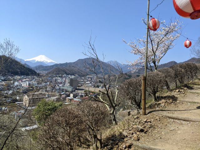 岩殿山 強瀬登山口～丸山公園 桜と提灯と富士山