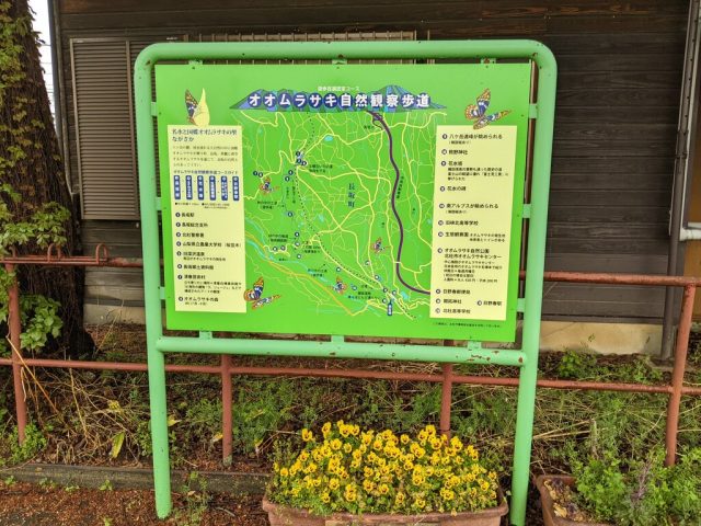 日野春駅前のオオムラサキ自然観察歩道の看板