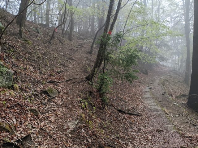 矢立石登山口への道