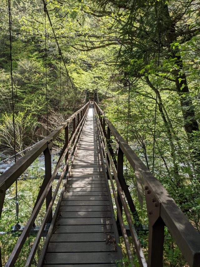 竹宇駒ヶ岳神社の脇の吊り橋
