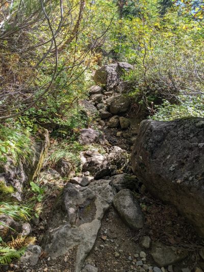 肩の小屋口～位ヶ原山荘の登山道