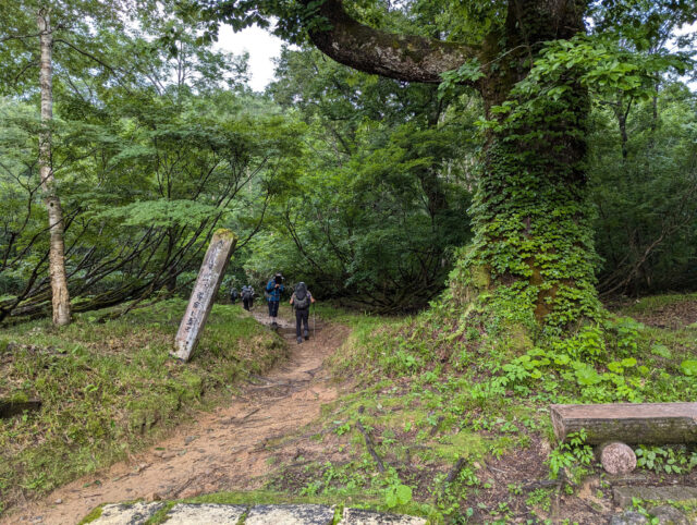 「太郎山を経て薬師に至る」