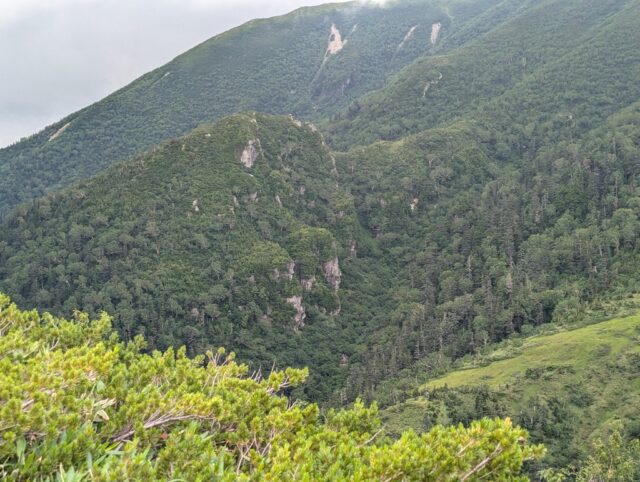 五光岩ベンチから見える五光岩