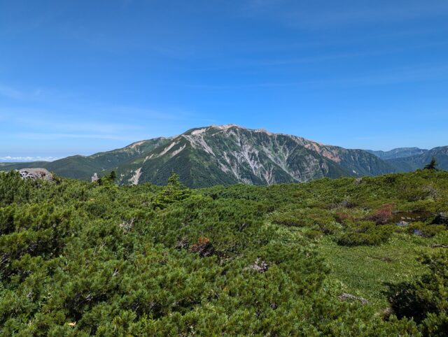 奥日本庭園から見た薬師岳