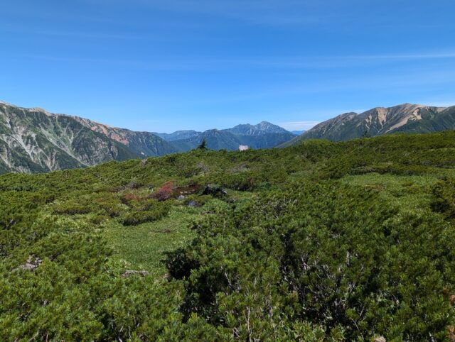 奥日本庭園から見た薬師岳～立山～赤牛岳