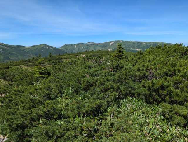 奥日本庭園から見た赤木岳～北ノ俣岳