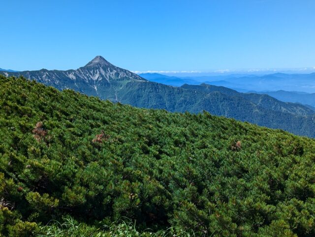 三俣蓮華岳から見た笠ヶ岳