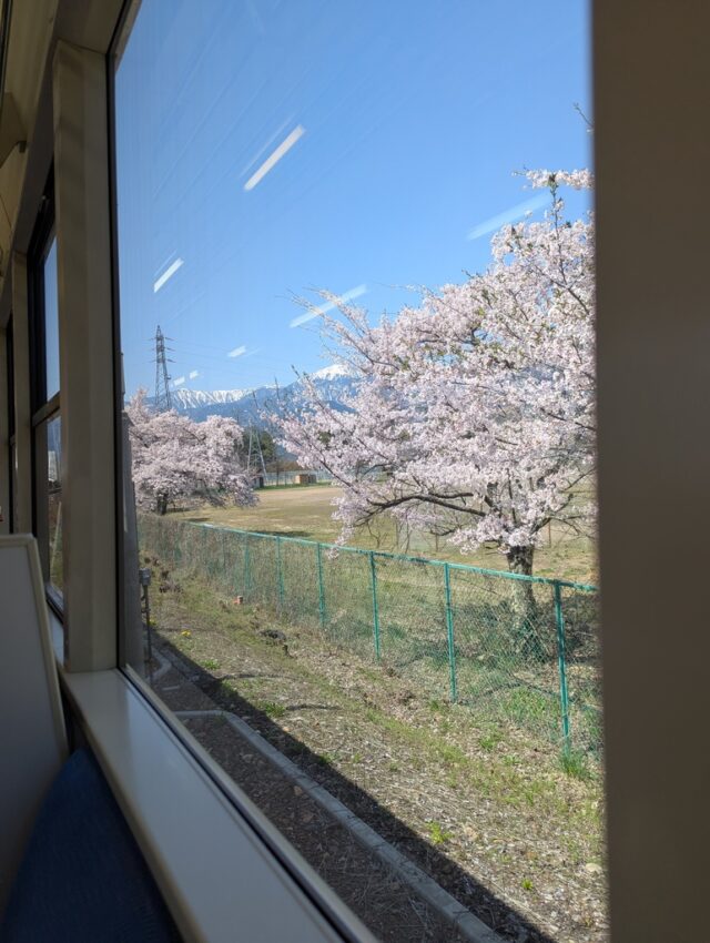 南大町駅脇の桜