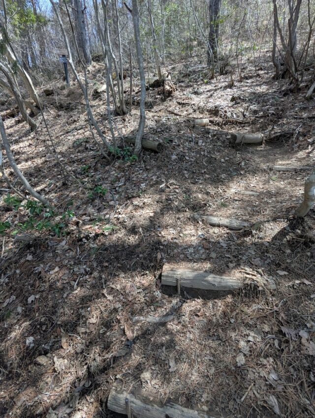 20250421_113414478.jpg