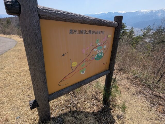 20250421_123324418.jpg