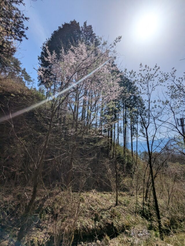 20250421_140438846.jpg