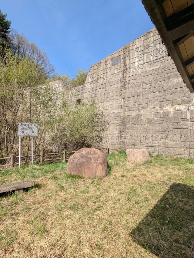 20250421_144707945.jpg