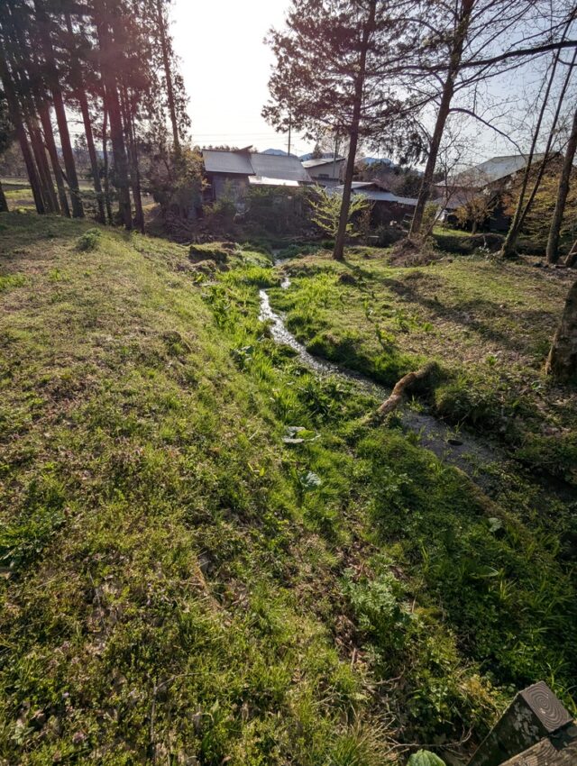 20250422_063213410.jpg