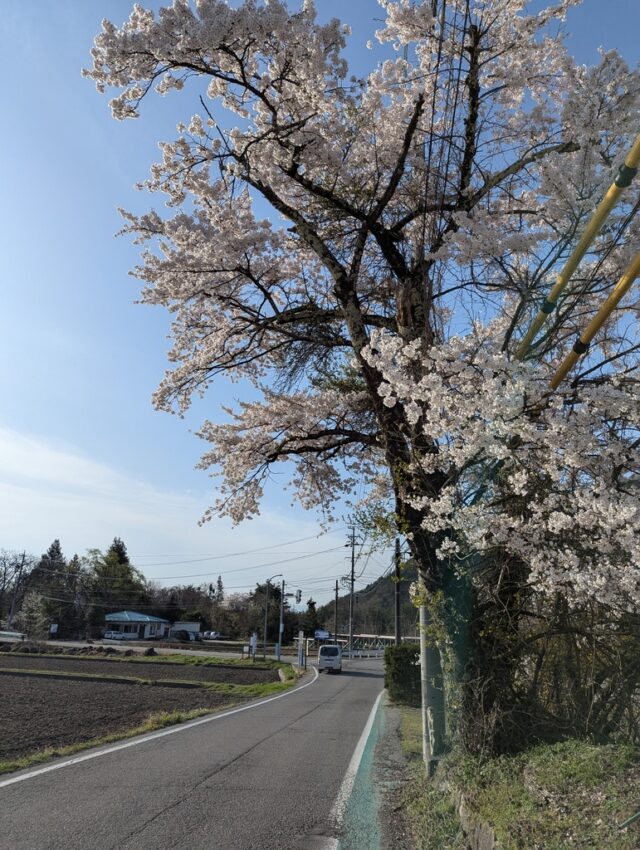 20250422_070646741.jpg