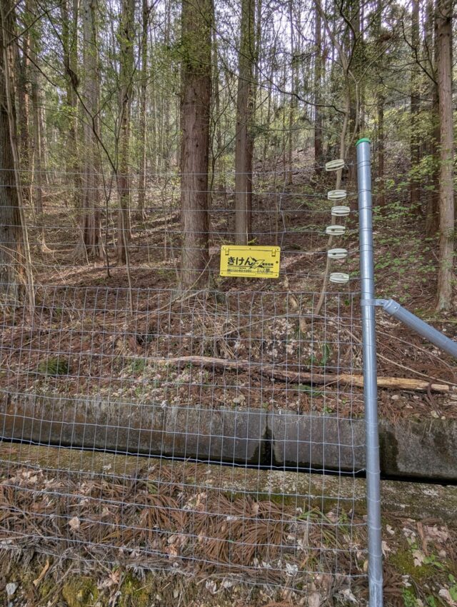 20250422_085825972.jpg