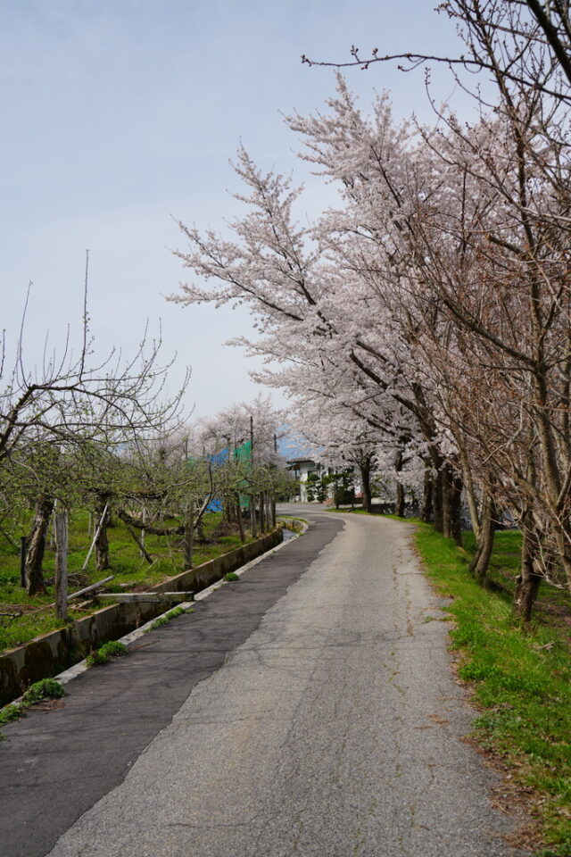 20250422_090200_08996.jpg