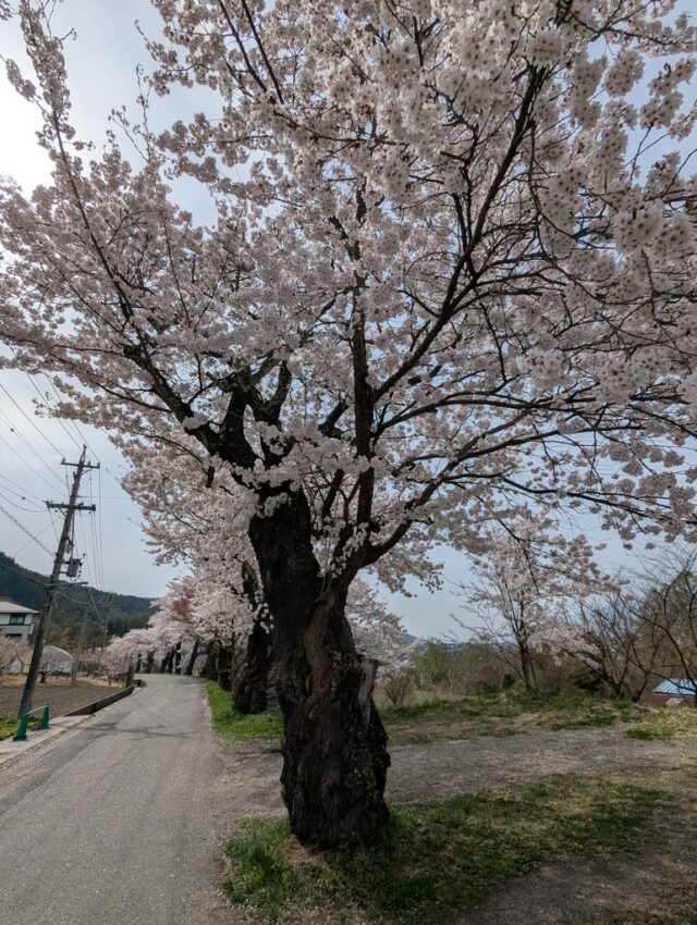 20250422_090932758.jpg