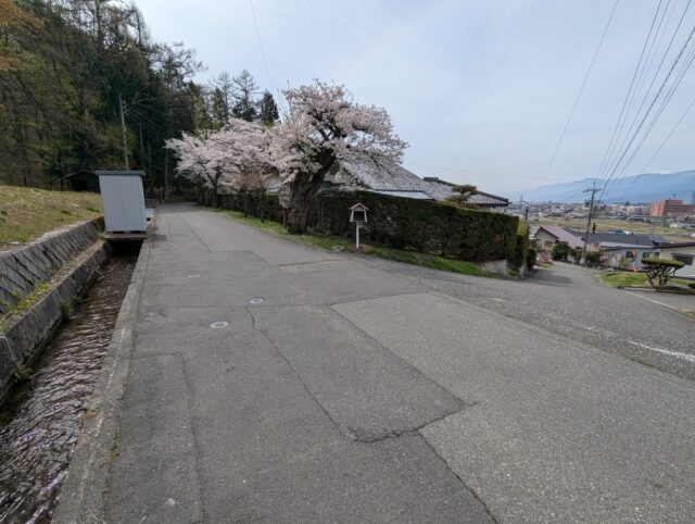 20250422_091833977.jpg