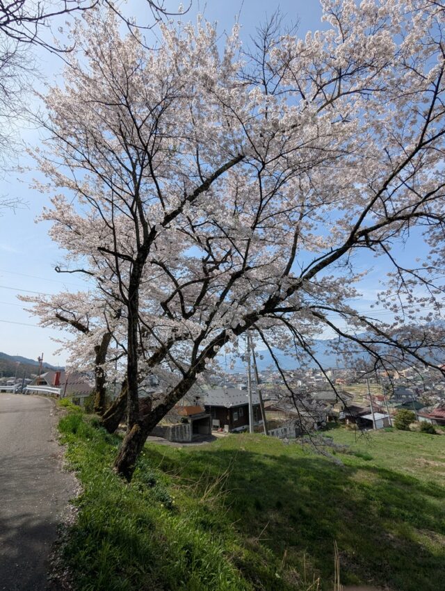 20250422_095825905.jpg
