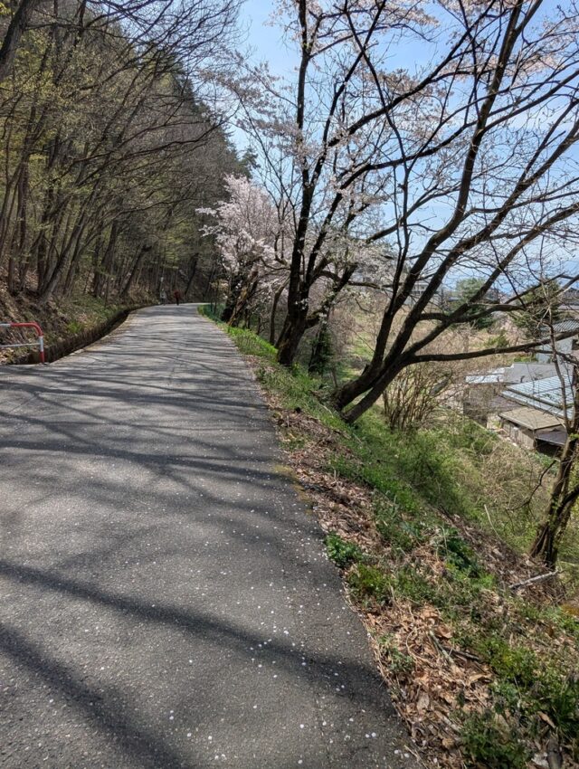 20250422_100639783.jpg