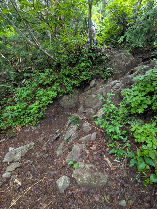 20250612_063436990.jpg