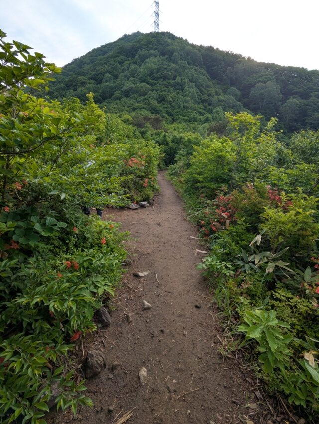 20250612_063753725.jpg