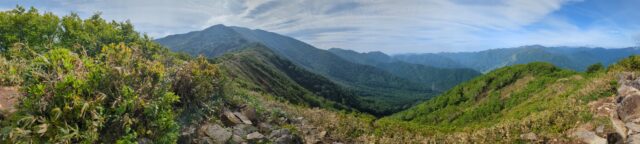 20250612_075304370_PANO.jpg