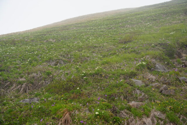 20250612_122025_01432.jpg