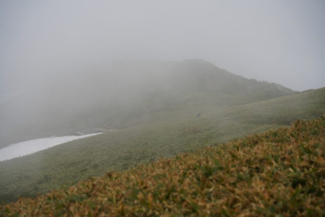 20250612_124156_01451.jpg
