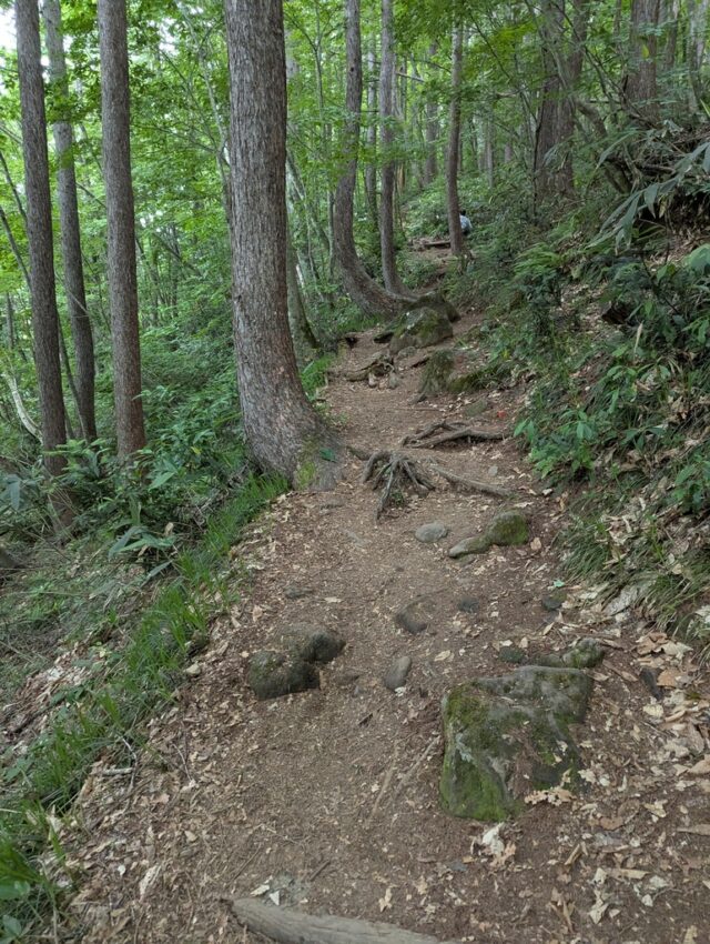 20250701_070800575.jpg