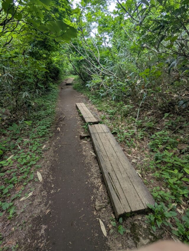 20250701_080912391.jpg