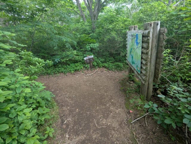 20250701_081131353.jpg