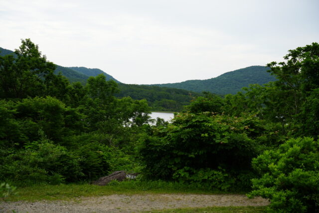 20250701_082030_01744.jpg