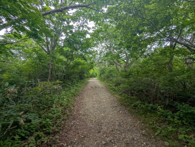 20250701_082158208.jpg