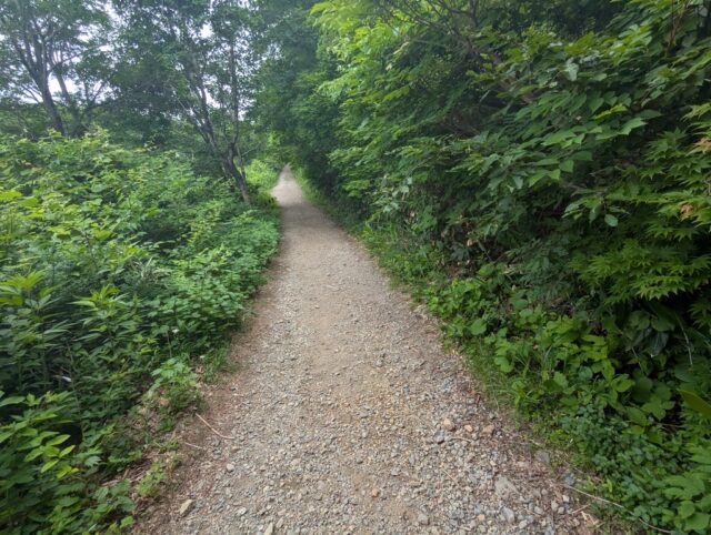 20250701_083042467.jpg