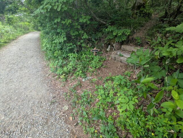 20250701_083142934.jpg