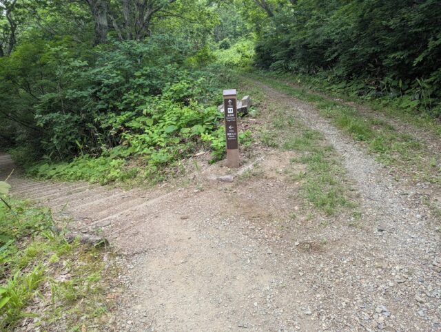 20250701_083339570.jpg