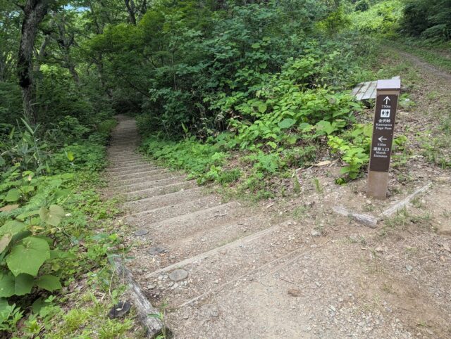 20250701_083341217.jpg