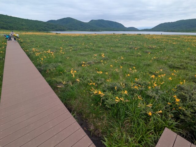 20250701_090300078.jpg