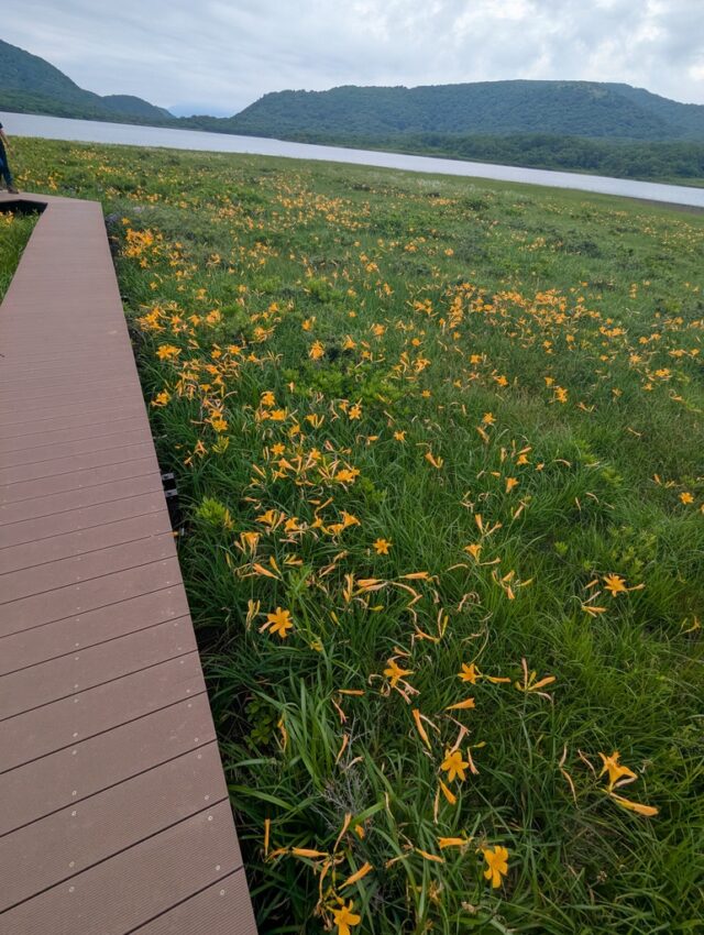 20250701_091130867.jpg