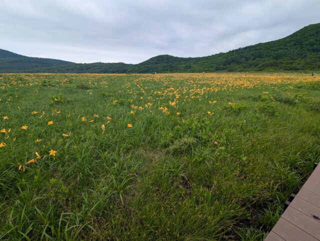 20250701_091855552.jpg