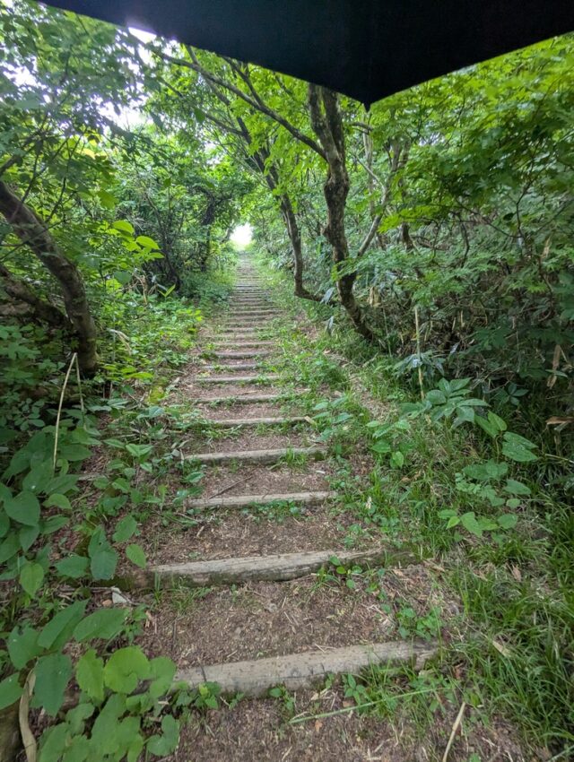 20250701_095957745.jpg