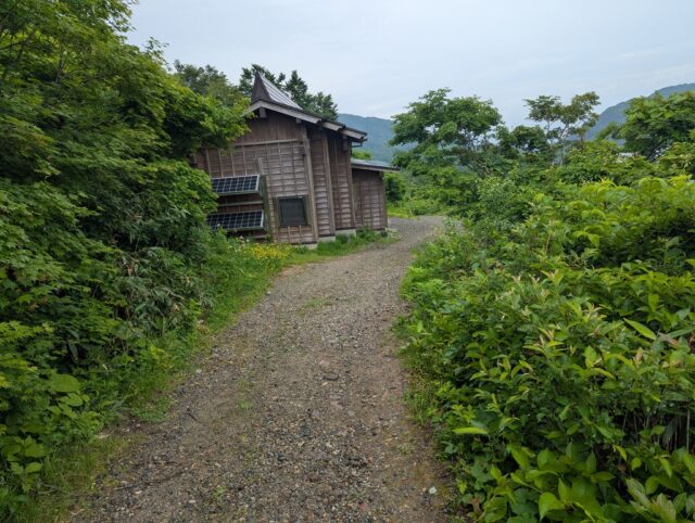 20250701_101029296.jpg