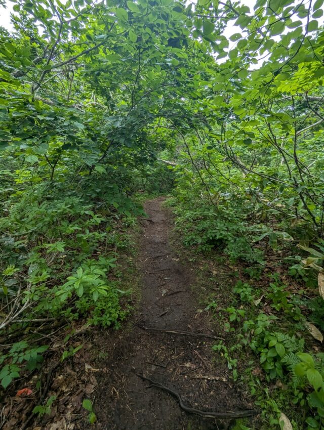 20250701_110228468.jpg