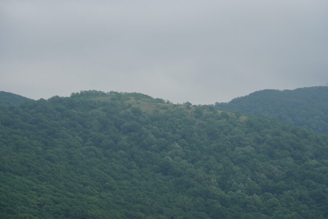 20250701_111350_02009.jpg